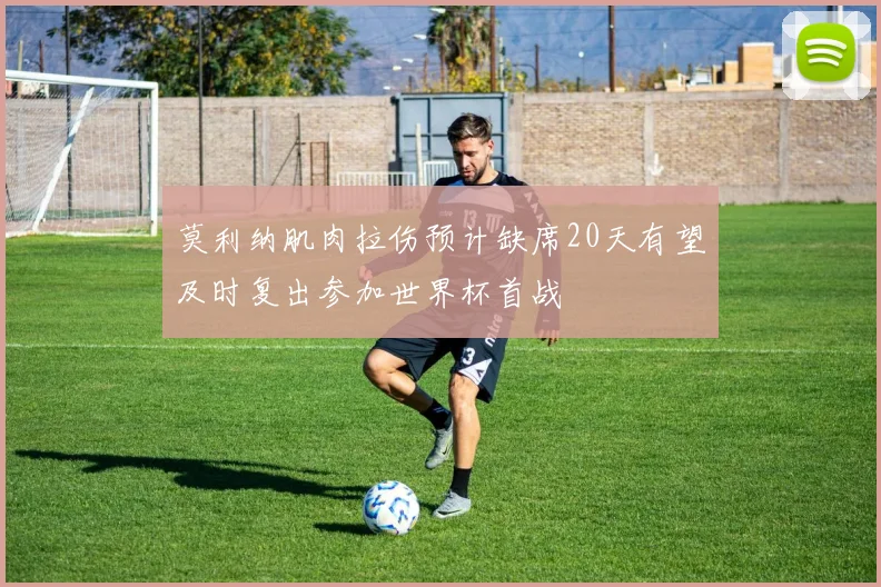 莫利纳肌肉拉伤预计缺席20天有望及时复出参加世界杯首战